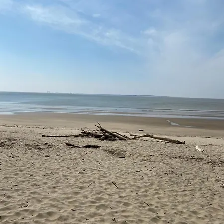 Escale Royannaise Vue Royan